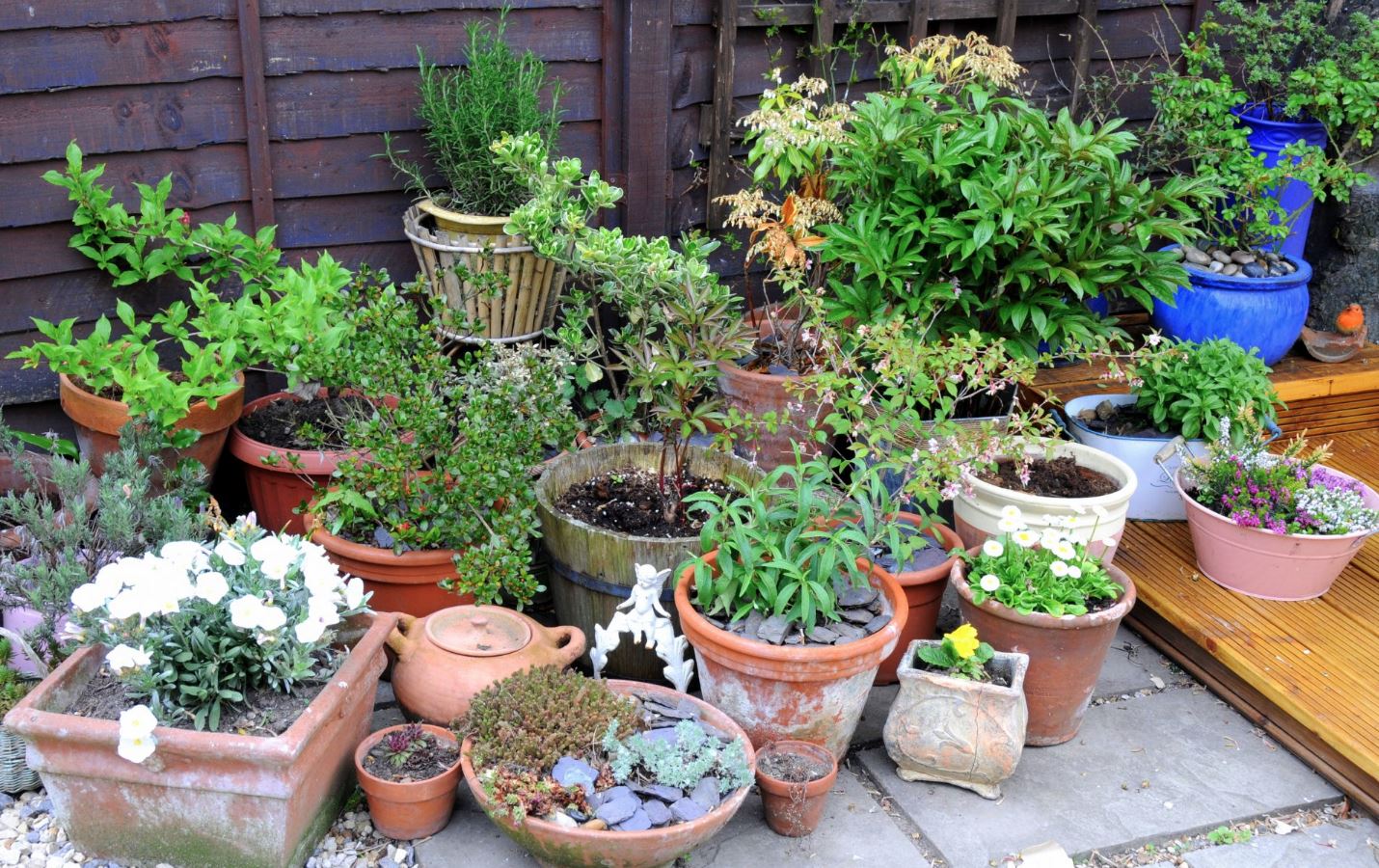 Containers Become Gardens of Possibility