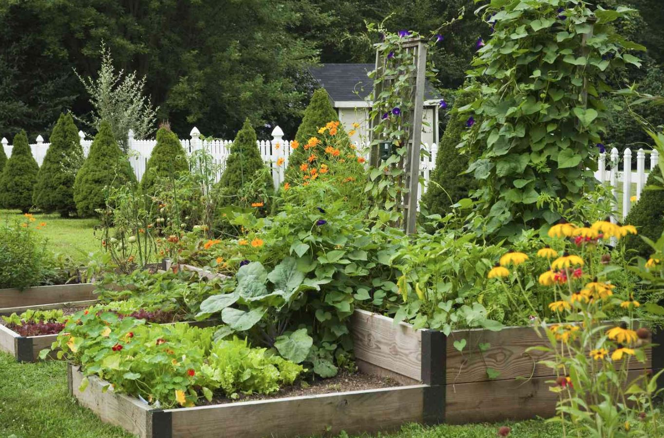 Every Season Becomes a Chapter in the Garden’s Story