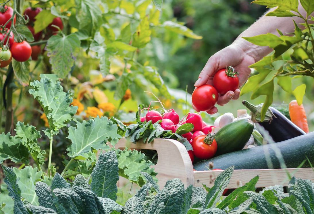 Harmony Beneath the Open Sky